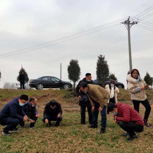 湖北省农技推广总站一行调研孝南粮食生产